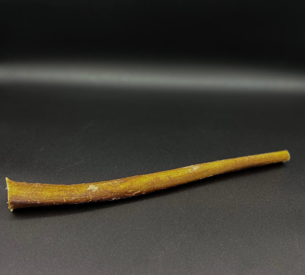 Dehydrated Pizzle XLg. Individual Piece