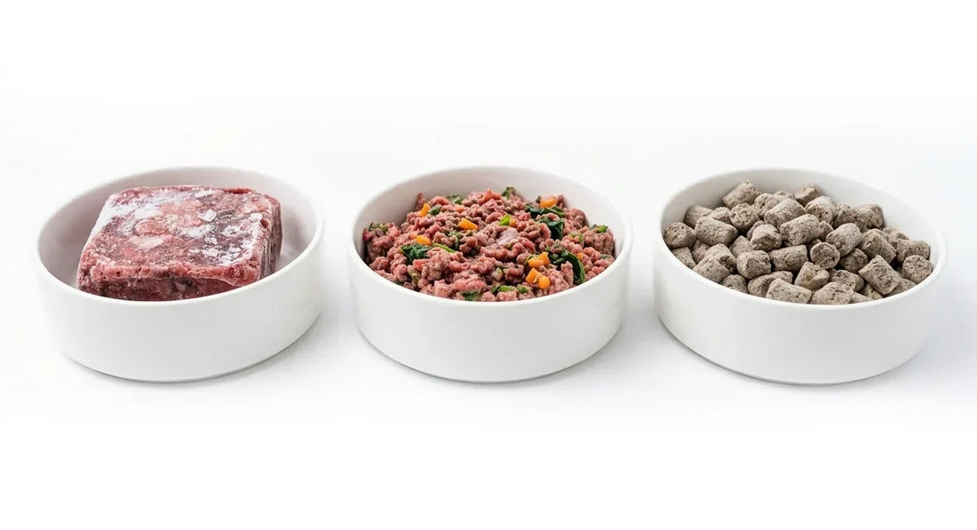 The Difference Between Freeze-Dried, Frozen, and Fresh Raw: Which One Is Right for Your Pet?