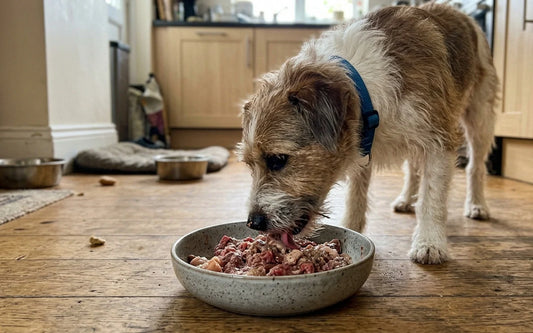 Raw Feeding on a Budget: Tips for Canadian Pet Owners Who Want to Do It Right