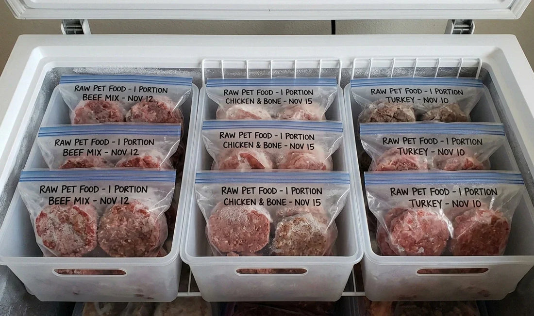 Raw Pet Food Storage 101: How to Keep It Fresh and Safe at Home