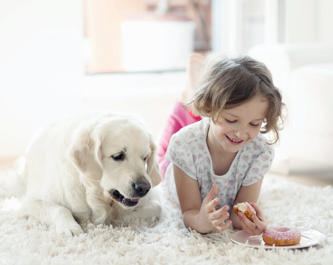Is Raw Pet Food Safe for Kids and Families?