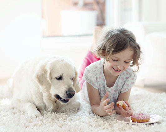 Is Raw Pet Food Safe for Kids and Families?
